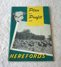 Vintage american hereford for sale  Hillsborough