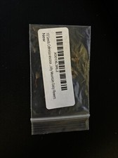Celmisia viscosa daisy for sale  Hobart
