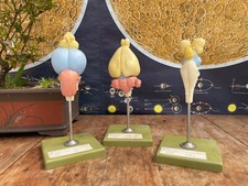 Vintage somso vertebrate for sale  SCARBOROUGH