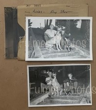 Vtg 1950s dog for sale  Saint Petersburg