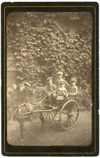 Enfants calèche poney d'occasion  Pagny-sur-Moselle
