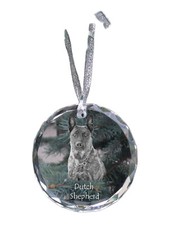 Berger hollandais médaille d'occasion Berger hollandais médaille d'occasion  Expédié en France