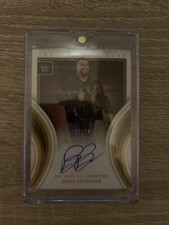 Wwe panini immaculate gebraucht kaufen  Stephansposching