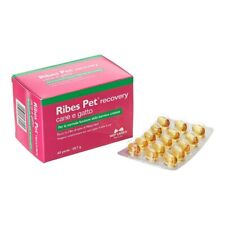 Ribes pet recovery usato  Casapesenna