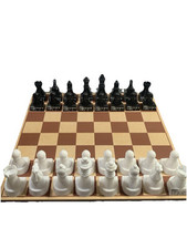 Chess game teacher for sale  Hurricane