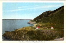 Cape rouge the d'occasion  Expédié en Belgium