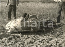 1955 motociclismo imola usato  Milano