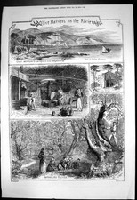 Alte livenernte riviera gebraucht kaufen  Versand nach Germany