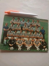 Cartolina formato grande usato  Italia
