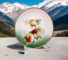 Vintage plate apples for sale  Pearson