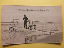 Pisa sua maestà usato  San Giuliano Terme