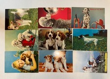 Cute adorable puppy for sale  Lincolnville