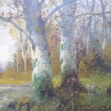 Graf wiener wald gebraucht kaufen Graf wiener wald gebraucht kaufen  Bad Ems