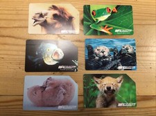 Animali per modo usato  Villafranca di Verona