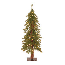 National tree hickory for sale  Lincoln