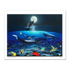 Living sea ltd. for sale  Escondido