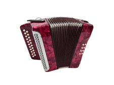 zupan harmonika gebraucht kaufen  Weiding