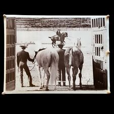 Andalusian horse poster for sale  Edmond