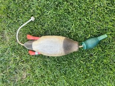 Dokken dead fowl for sale  LINCOLN