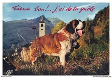Atap9 0637 chien d'occasion  France