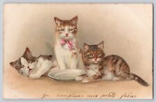1903 kitty cats for sale  Richmond