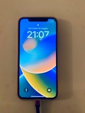 Apple iphone 256gb usato  Gallarate