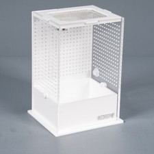 Acrylic invertebrate insect for sale  CROOK