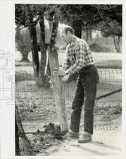 1985 press photo for sale  Memphis