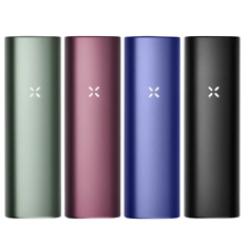 PAX Plus - Portatile PAX, używany na sprzedaż  Wysyłka do Poland