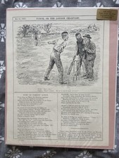 Punch cricket cartoons for sale  CORSHAM