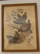 Vtg framed arthur for sale  Universal City