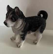 Husky puppy dog for sale  BASINGSTOKE