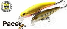 Pontoon poisson nageur d'occasion  Saujon