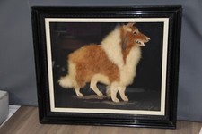 Original victorian taxidermy for sale  UK