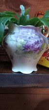 Beautiful christmas cactus for sale  Selmer