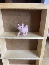 Tiny baby pig for sale  Trenton