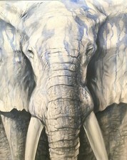 Elephant original painting for sale  Fort Collins