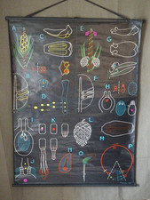 Ancienne affiche scolaire d'occasion  Rupt-sur-Moselle