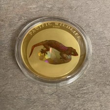 fanatic gecko usato  Roma