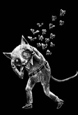 Ericailcane gatto serigrafia usato  Bologna