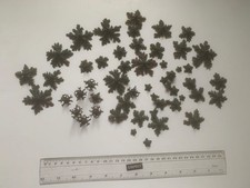 Hornby gauge tree for sale Hornby gauge tree for sale  IPSWICH