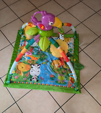 Fisher price palestrina usato  Terzolas