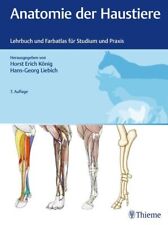 Anatomie haustiere lehrbuch gebraucht kaufen  Butjadingen