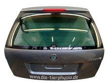 Heckklappe platin grau gebraucht kaufen  Wachtendonk