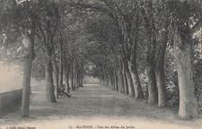 Mayenne allees jardin d'occasion  Vasles