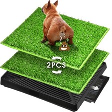 Dog toilet indoor d'occasion  Lyon I