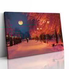 Park evening snow for sale  LONDON