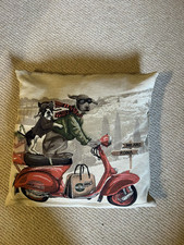 Evans lichfields cushion for sale  ASHFORD