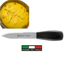 Sanelli ambrogio xcut usato Sanelli ambrogio xcut usato  Italia