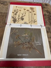 1974 pressed flowers for sale  LONDON